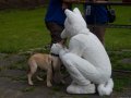 DSC_0022.jpg